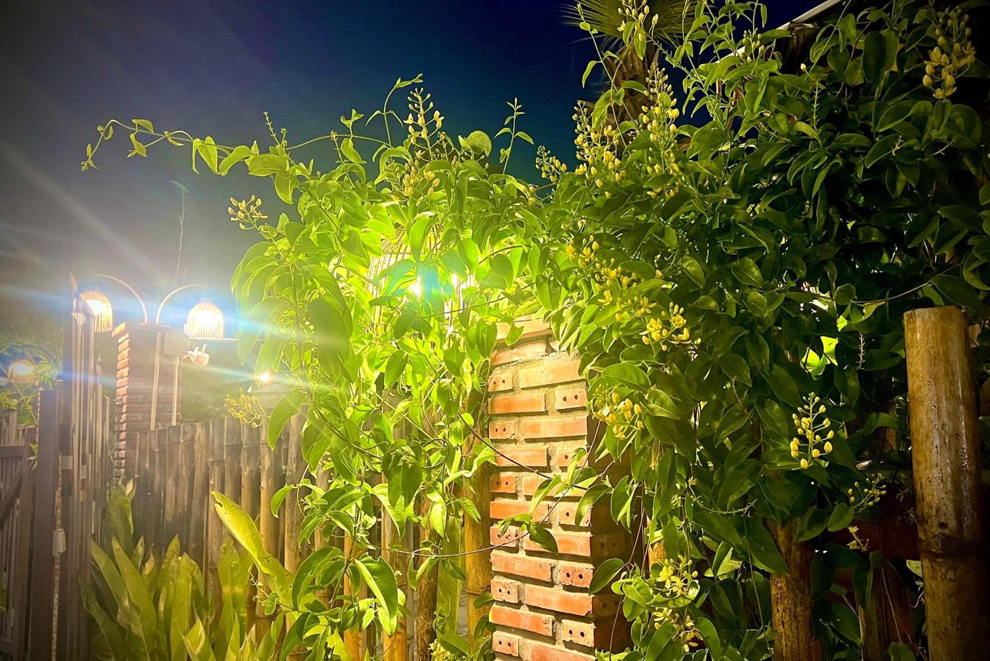 Cai Rang Ben Do Xua Homestay & Coffee מראה חיצוני תמונה